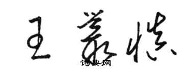 駱恆光王叢慎草書個性簽名怎么寫