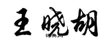 胡問遂王曉胡行書個性簽名怎么寫