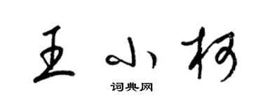 梁錦英王小柯草書個性簽名怎么寫