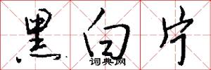 黑光的意思_黑光的解釋_國語詞典