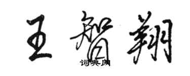 駱恆光王智翔行書個性簽名怎么寫