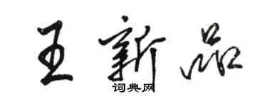 駱恆光王新品行書個性簽名怎么寫