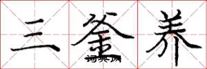 龐中華三釜養楷書怎么寫