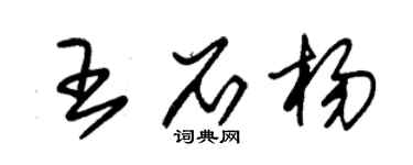 朱錫榮王石楊草書個性簽名怎么寫