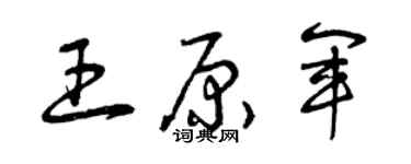 曾慶福王原軍草書個性簽名怎么寫