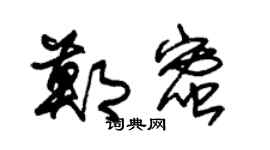 朱錫榮鄭蜜草書個性簽名怎么寫