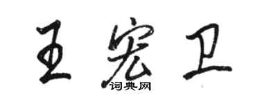 駱恆光王宏衛行書個性簽名怎么寫