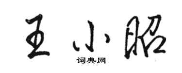駱恆光王小昭行書個性簽名怎么寫