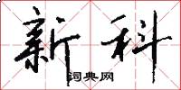 新科怎么寫好看