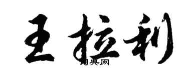 胡問遂王拉利行書個性簽名怎么寫