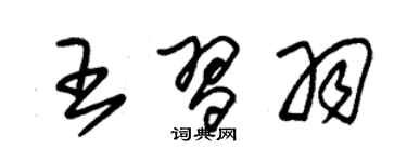 朱錫榮王習羽草書個性簽名怎么寫