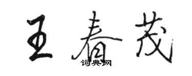 駱恆光王春茂行書個性簽名怎么寫