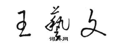 駱恆光王藝文草書個性簽名怎么寫