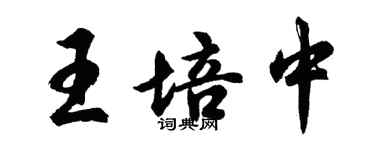 胡問遂王培中行書個性簽名怎么寫