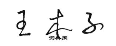 駱恆光王木子草書個性簽名怎么寫