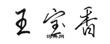 駱恆光王寶香行書個性簽名怎么寫