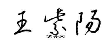 梁錦英王紫陽草書個性簽名怎么寫