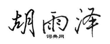 駱恆光胡雨澤行書個性簽名怎么寫