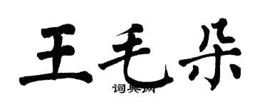 翁闓運王毛朵楷書個性簽名怎么寫