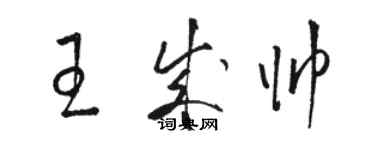 駱恆光王成帥草書個性簽名怎么寫