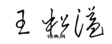 駱恆光王松溢草書個性簽名怎么寫