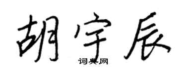 王正良胡宇辰行書個性簽名怎么寫