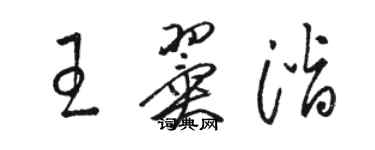 駱恆光王翼潛草書個性簽名怎么寫