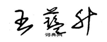 朱錫榮王藍升草書個性簽名怎么寫