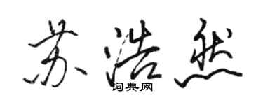 駱恆光蘇浩然行書個性簽名怎么寫