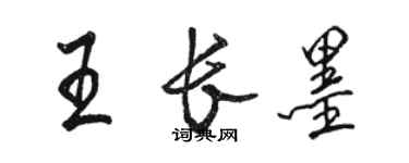 駱恆光王長墨行書個性簽名怎么寫