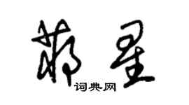 朱錫榮蔣星草書個性簽名怎么寫