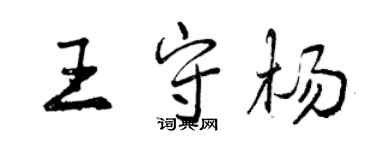 曾慶福王守楊行書個性簽名怎么寫