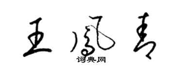 梁錦英王鳳青草書個性簽名怎么寫