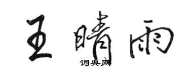 駱恆光王晴雨行書個性簽名怎么寫