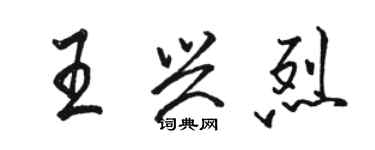 駱恆光王興烈行書個性簽名怎么寫