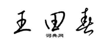 梁錦英王田春草書個性簽名怎么寫