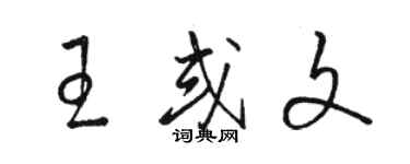 駱恆光王或文草書個性簽名怎么寫