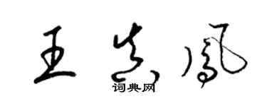 梁錦英王真鳳草書個性簽名怎么寫