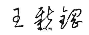 駱恆光王新鋼草書個性簽名怎么寫