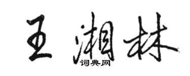 駱恆光王湘林行書個性簽名怎么寫