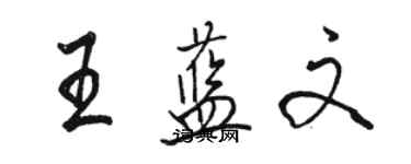 駱恆光王藍文行書個性簽名怎么寫