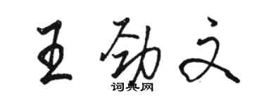 駱恆光王勁文行書個性簽名怎么寫