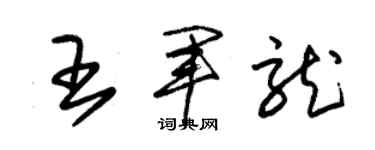 朱錫榮王軍龍草書個性簽名怎么寫