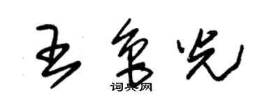 朱錫榮王魯光草書個性簽名怎么寫