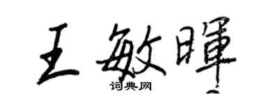 王正良王敏暉行書個性簽名怎么寫