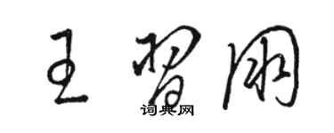 駱恆光王習朋草書個性簽名怎么寫