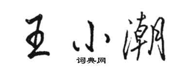 駱恆光王小潮行書個性簽名怎么寫