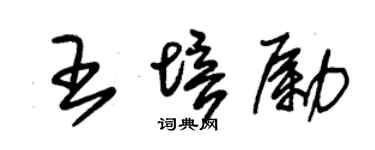 朱錫榮王培勵草書個性簽名怎么寫