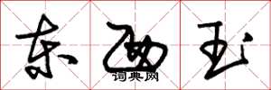 朱錫榮東西玉草書怎么寫