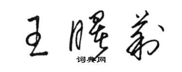 駱恆光王曙莉草書個性簽名怎么寫